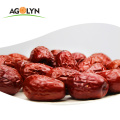 AGOLYN Fresh Dry Fruit XinJiang Red Dates Jujube